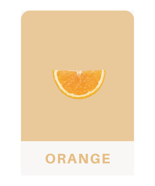 オレンジ/Orange