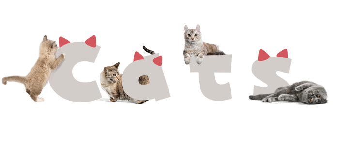 Cat見出し背景透過あり