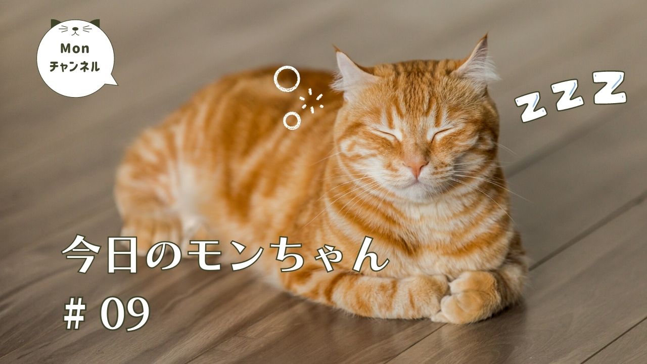 Canvaで使えるブログアイキャッチ&YouTubeサムネイルテンプレート27選 | モフデザイン-mofu design